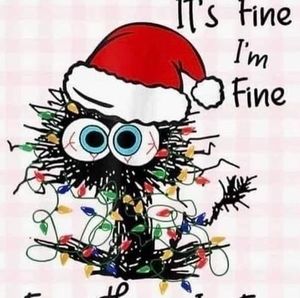 Meet your Posher, Tami